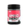 ON Amino Energy